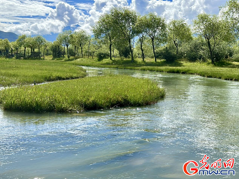 我們的家園丨【組圖】 綠水青山入畫，“金山銀山”筑起