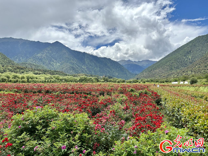 我們的家園丨【組圖】 綠水青山入畫，“金山銀山”筑起