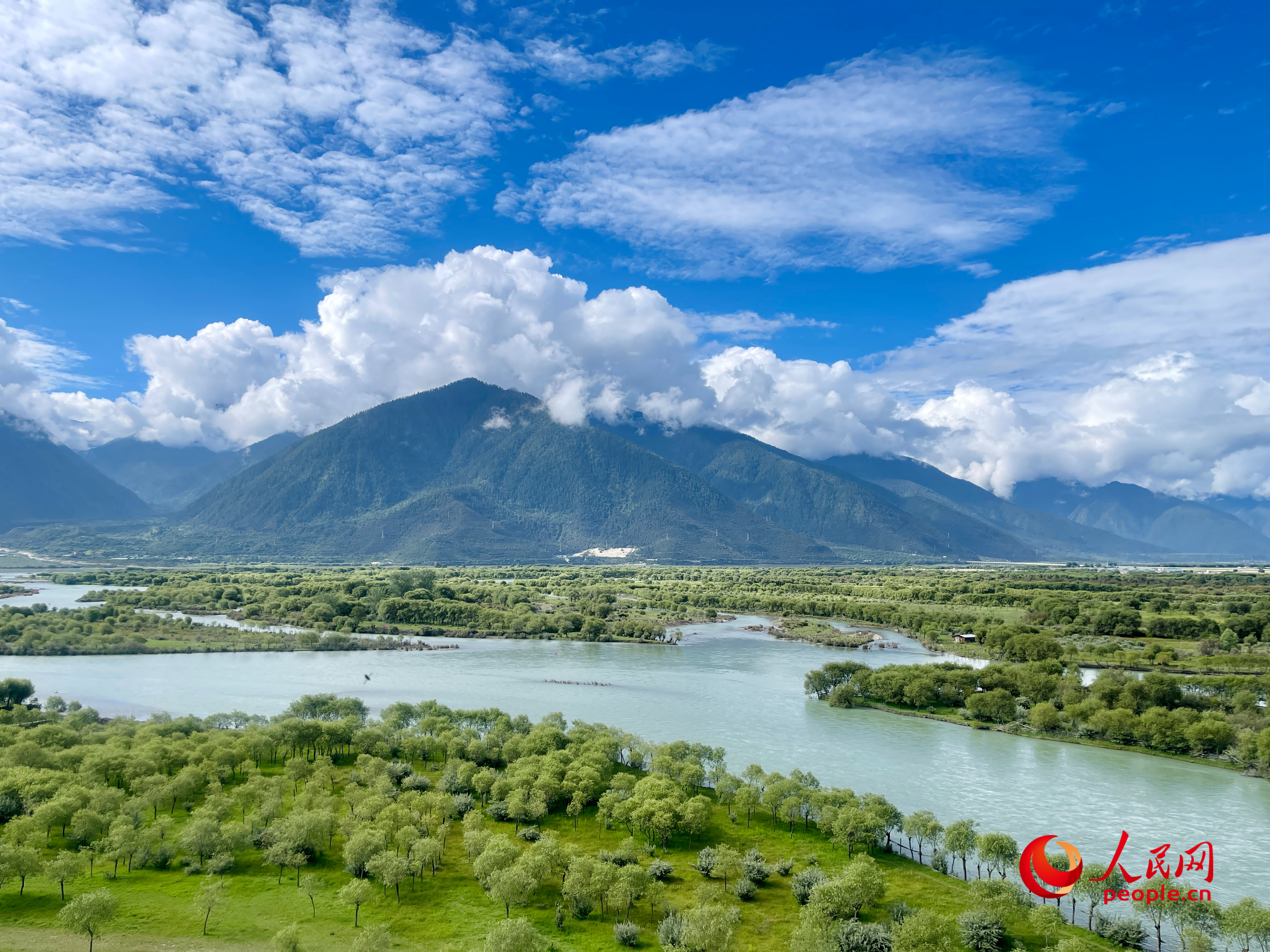 夏日的雅尼國家濕地公園生機(jī)盎然，如詩如畫。人民網(wǎng) 周靜圓攝