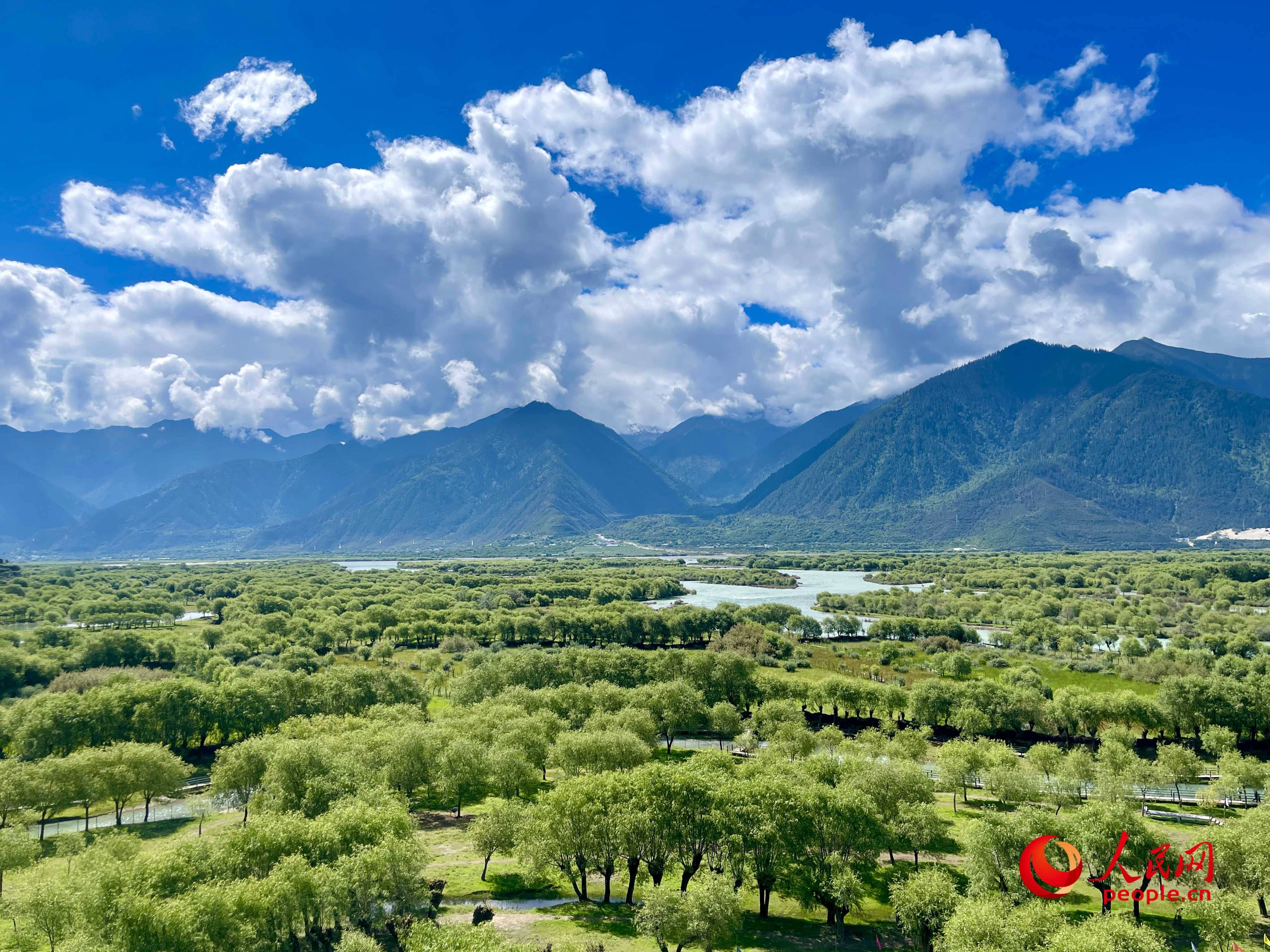 夏日的雅尼國家濕地公園生機(jī)盎然，如詩如畫。人民網(wǎng) 周靜圓攝