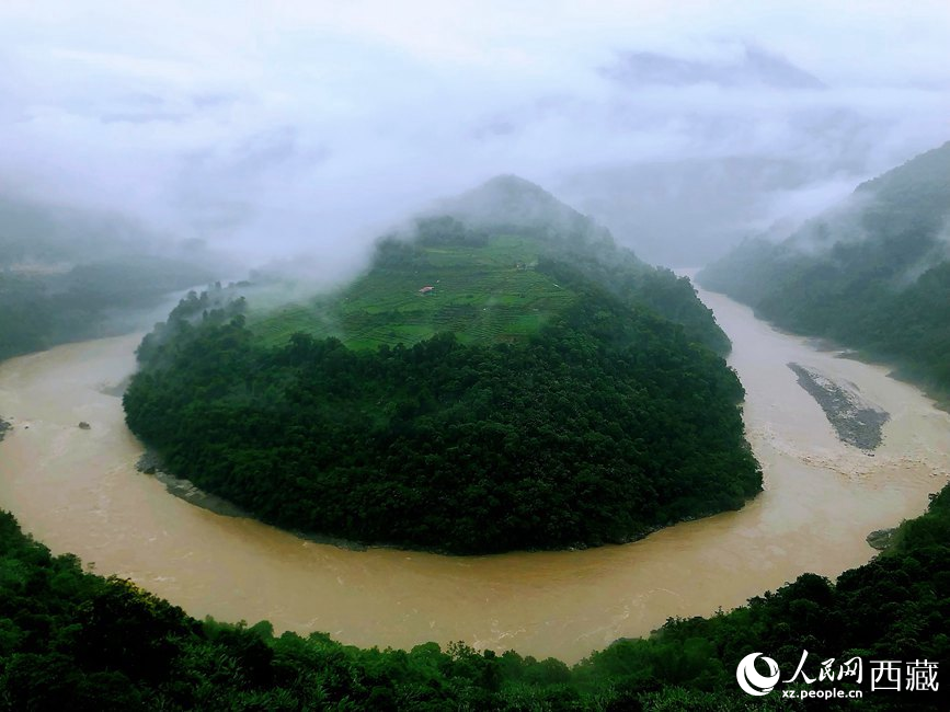雅魯藏布江大峽谷蛇形拐彎處，山坡上種滿茶樹。