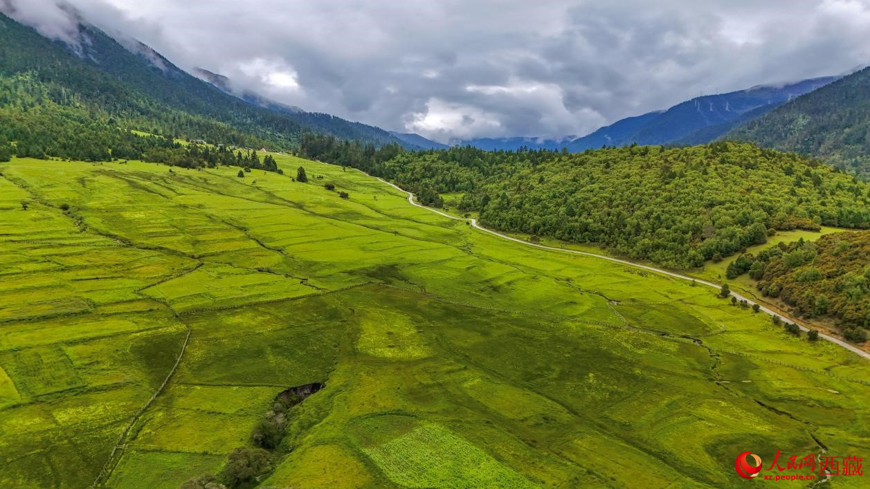 圖為航拍高山牧場(chǎng)鳥(niǎo)瞰圖。人民網(wǎng)記者 次仁羅布攝