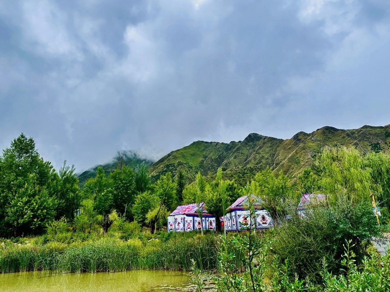 郁郁蔥蔥的南山公園。人民網(wǎng)記者 益西康珠攝