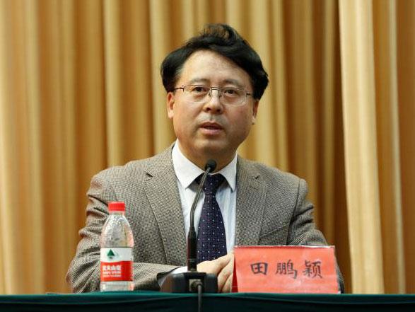 田鵬穎：投入其中、樂在其中、安身其中