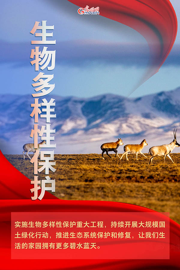 海報(bào)| 2021年政府工作報(bào)告，提到這些生態(tài)環(huán)保關(guān)鍵詞